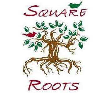 Square Roots Decatur Georgia Shopping